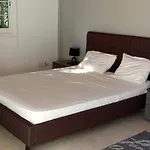 Mersinia Ayia Napa