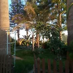 Mersinia Ayia Napa
