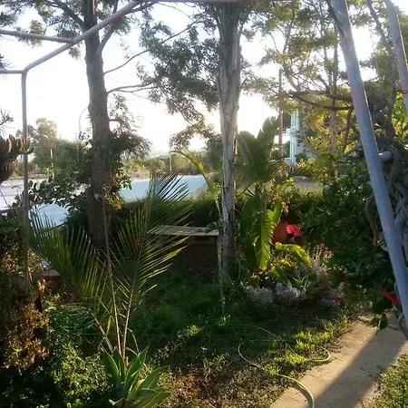 Mersinia איה נאפה
