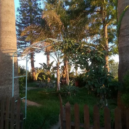 Mersinia איה נאפה